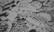 1476267188user_name