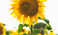 14861123271486112327