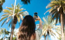 17708952861770895286