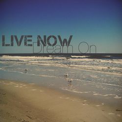 live-now-dream-on-nicole-mcinnes