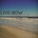 live-now-dream-on-nicole-mcinnes