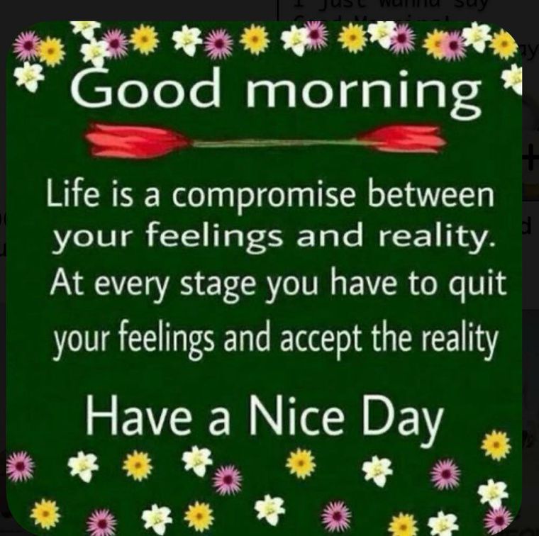 Morning safe quotes stay good 41 Good