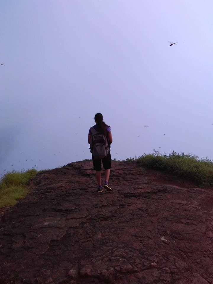 mentor